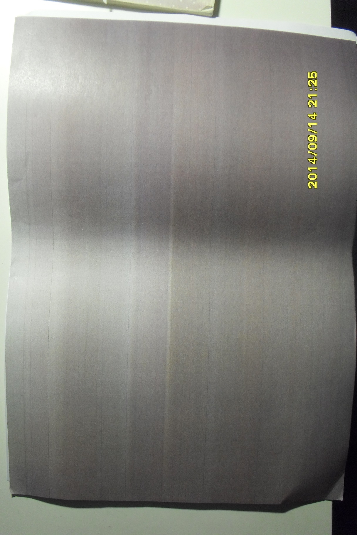 SDC13193.JPG