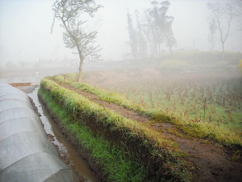 田间小路