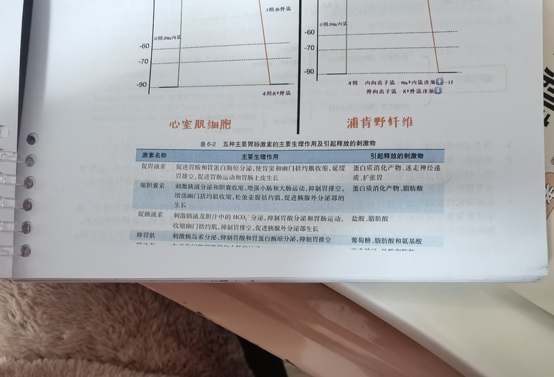 下面的字都打不出